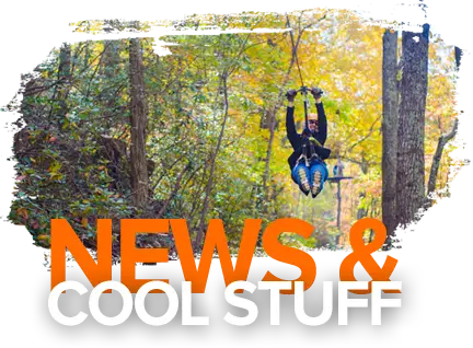 News & Cool Stuff